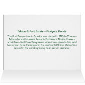 Banyan Tree Edison & Ford Estate Ft Myers Floride (Intérieur Horizontal (haut))