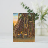  Banyan Tree, Fort Lauderdale, Florida Briefkaart (Staand voorkant)