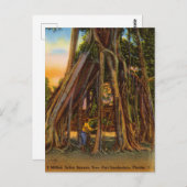  Banyan Tree, Fort Lauderdale, Florida Briefkaart (Voorkant / Achterkant)