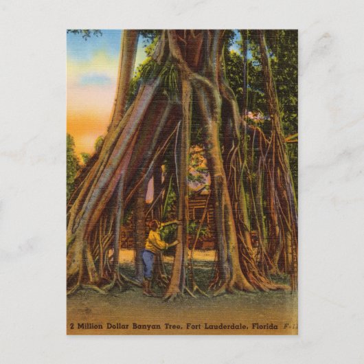  Banyan Tree, Fort Lauderdale, Florida Briefkaart (Voorkant)