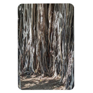 Banyan Tree fotomagneet Magneet