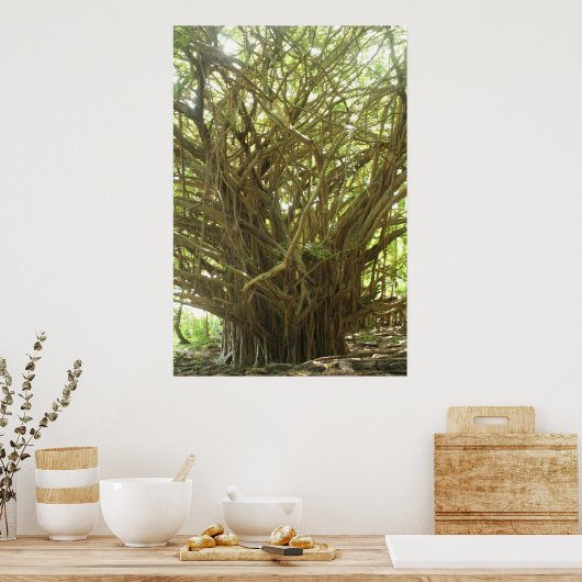 Banyan Tree Poster (Keuken)