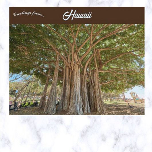 Banyan Tree Queens Beach in Honolulu, Hawaï Briefkaart