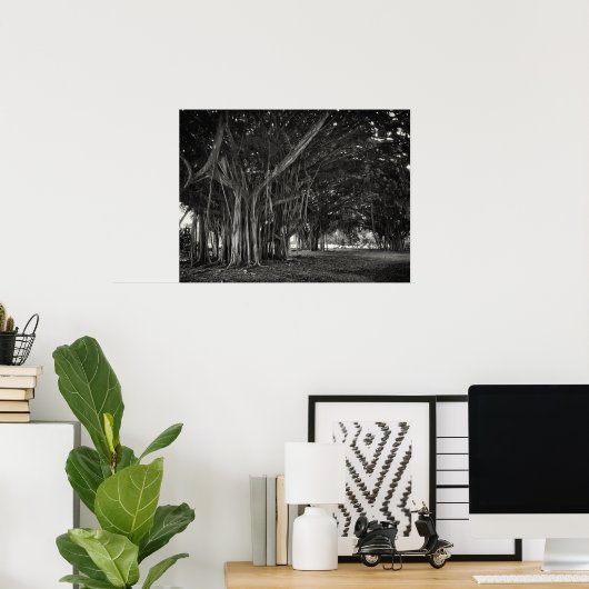 BANYAN TREE ROOT STRUCTURE POSTER (Thuiskantoor)