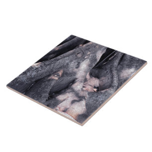 Banyan Tree Tegeltje