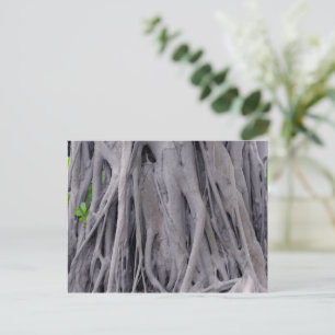 Banyan Tree Trunk Briefkaart