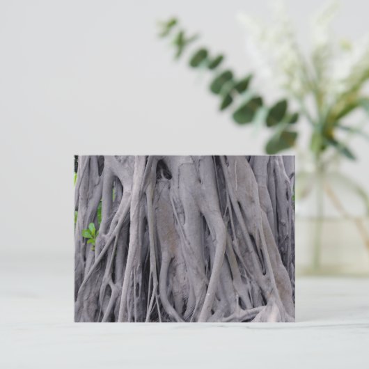 Banyan Tree Trunk Briefkaart (Staand voorkant)
