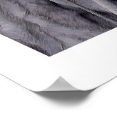 Banyan Tree Trunk Poster (Hoek)