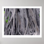 Banyan Tree Trunk Poster (Voorkant)