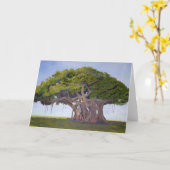 Banyan van MacArthur - Kaart met Verhaal van (Gele Bloem)