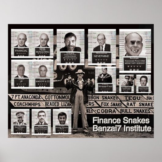Banzai7 Finance Snakes Poster (Voorkant)