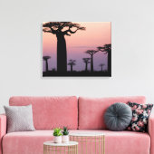Baobab Alley', Madagascar, Morondava, Afrika, Canvas Afdruk (Insitu (Woonkamer))