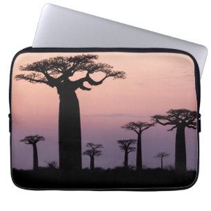 Baobab Alley', Madagascar, Morondava, Afrika, Laptop Sleeve