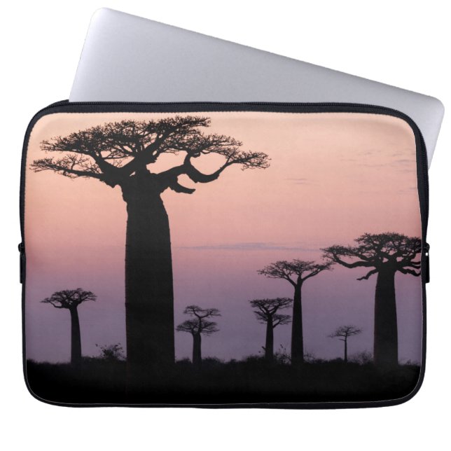 Baobab Alley', Madagascar, Morondava, Afrika, Laptop Sleeve (Voorkant)