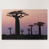 Baobab Alley', Madagascar, Morondava, Afrika, Legpuzzel (Horizontaal)