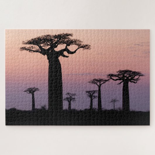 Baobab Alley', Madagascar, Morondava, Afrika, Legpuzzel (Horizontaal)