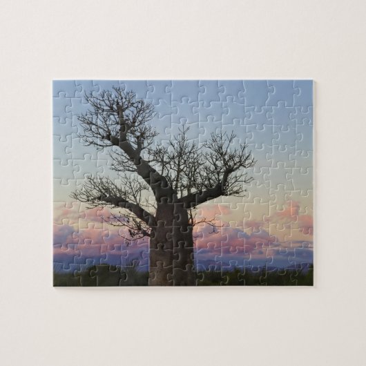 Baobab-bomen, Berenty, Toliara, Madagaskar Legpuzzel (Horizontaal)