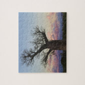 Baobab-bomen, Berenty, Toliara, Madagaskar Legpuzzel (Verticaal)