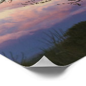 Baobab-bomen, Berenty, Toliara, Madagaskar Poster (Hoek)