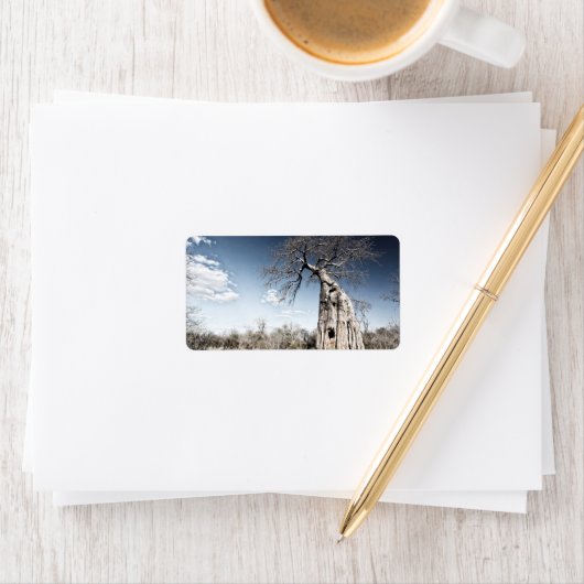 Baobab-boom in het nationaal park Mana Pools, Zimb Etiket (Insitu)