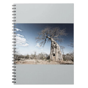 Baobab-boom in het nationaal park Mana Pools, Zimb Notitieboek