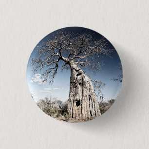 Baobab-boom in het nationaal park Mana Pools, Zimb Ronde Button 3,2 Cm
