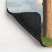 Baobab Madagaskar van Grandidier Muismat (Hoek)