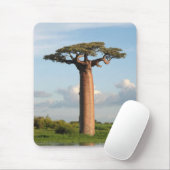 Baobab Madagaskar van Grandidier Muismat (Met muis)