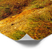 Baobab Poster (Hoek)