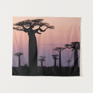 Baobab-steeg', Madagaskar, Morondava, Afrika, Wandkleed