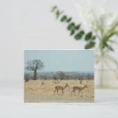 Baobab Tree Branch personaliseren Destiny's Briefkaart (Staand voorkant)