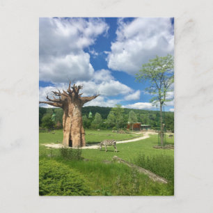 Baobab Tree Branch personaliseren Destiny's Briefkaart
