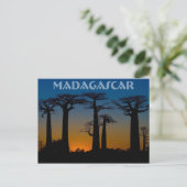 Baobabs de Madagascar Briefkaart (Staand voorkant)