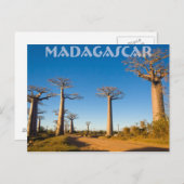 Baobabs de Madagascar Briefkaart (Voorkant / Achterkant)