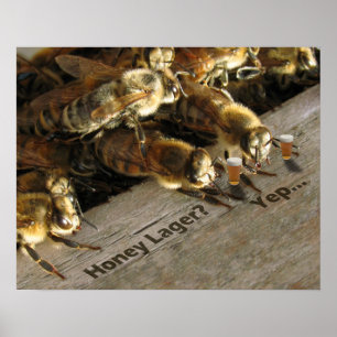 Bar bijen_Honey Lager? Poster