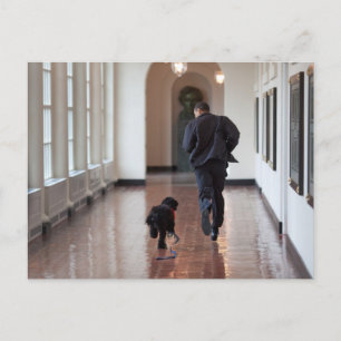 Barack & Bo Obama Briefkaart