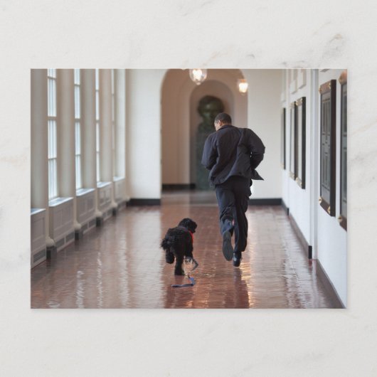 Barack & Bo Obama Briefkaart (Voorkant)