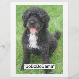 Barack Obama Portugese waterhond Flyer