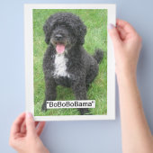 Barack Obama Portugese waterhond Flyer (Hand)