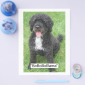 Barack Obama Portugese waterhond Flyer (Enkel)