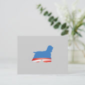 BARACKER SPANIEL BRIEFKAART (Staand voorkant)