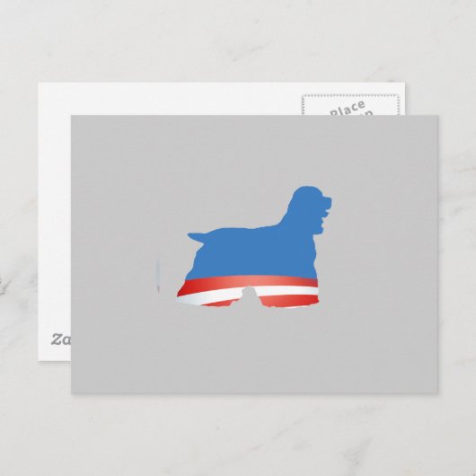 BARACKER SPANIEL BRIEFKAART (Voorkant / Achterkant)