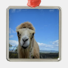 Baraka het Ornament van het glimlachende kamp