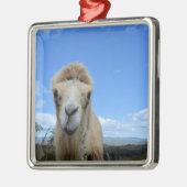 Baraka het Ornament van het glimlachende kamp (Links)