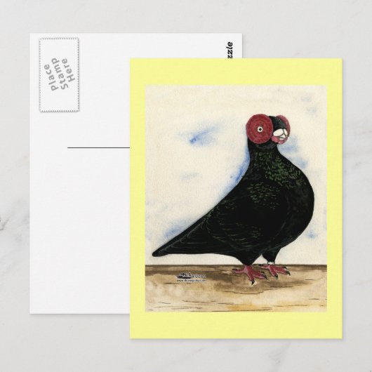 Barb Pigeon Waterverf Briefkaart (Voorkant / Achterkant)