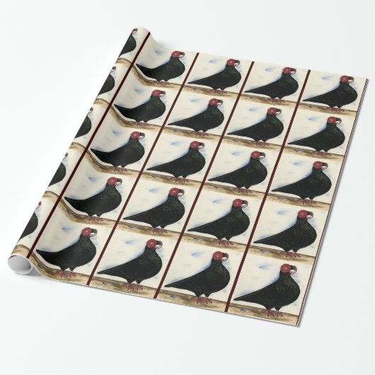 Barb Pigeon Waterverf Cadeaupapier (Uitgerold)
