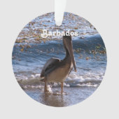 Barbados Brown Pelican Ornament (voorkant)