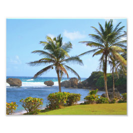 Barbados, Caribisch gebied, oceaan, palmbomen, fot Foto Afdruk