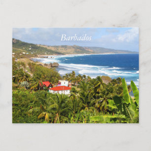 Barbados Carte postale, Océan, arbres tropicaux