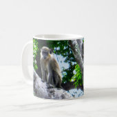 Barbados Green Monkeys Mok (Voorkant links)